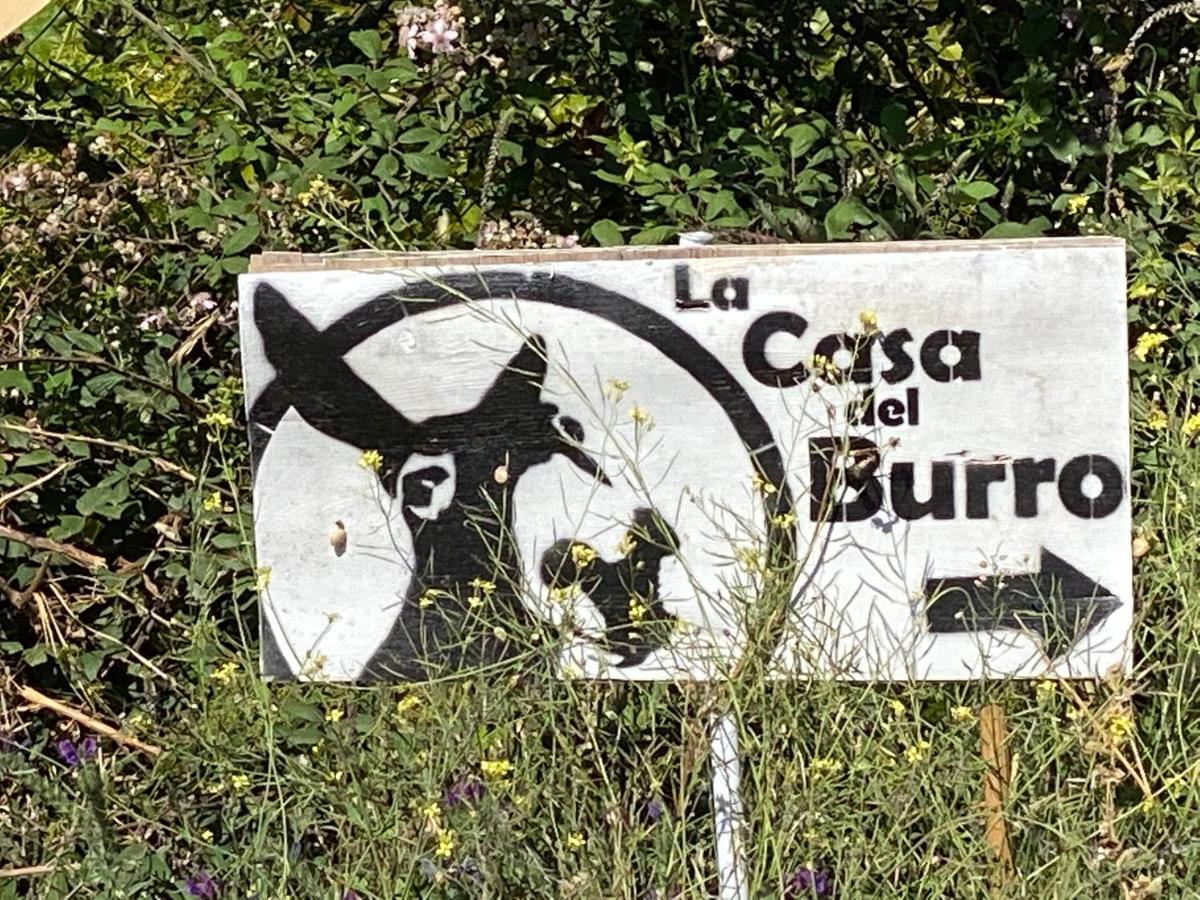 Bed and Breakfast La Casa Del Burro Нерха Экстерьер фото